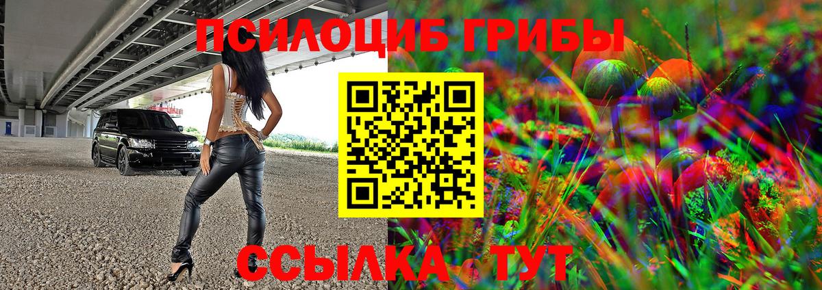 Галлюциногенные грибы Psilocybine cubensis Большой Камень