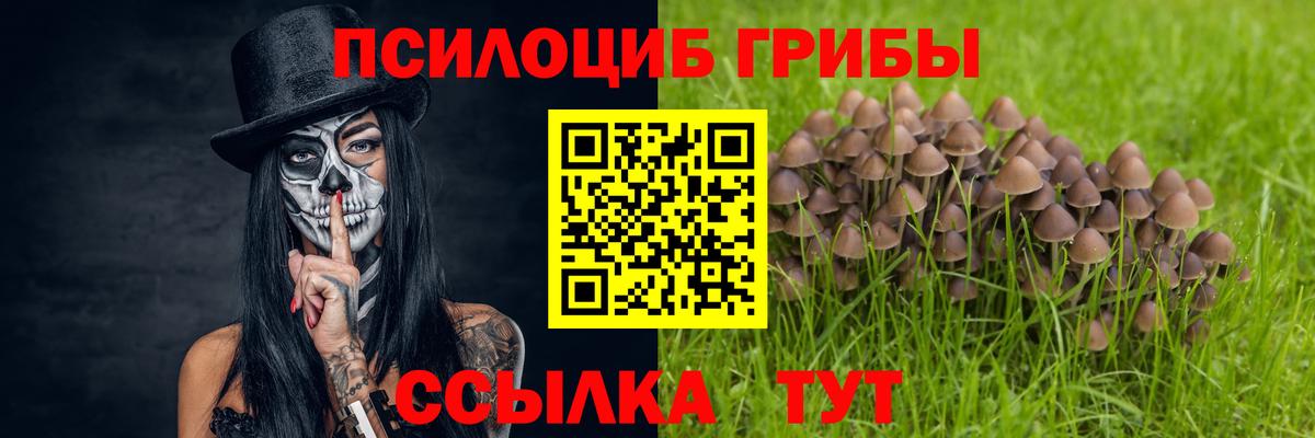 Галлюциногенные грибы GOLDEN TEACHER  наркота  Большой Камень  Галлюциногенные грибы Cubensis  Вход с VPN 
